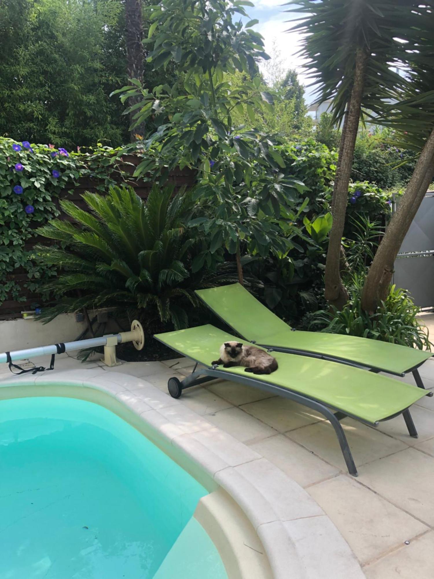 Villa Beausejour Cannes Ngoại thất bức ảnh